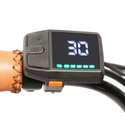 Amsterdam Cargo M premium