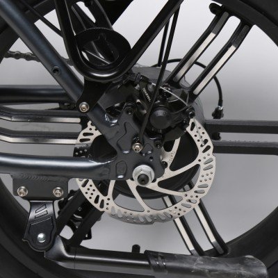 E Transformer Fatty premium