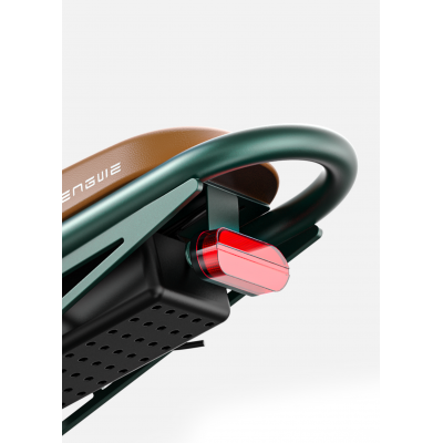 ENGWE M20 Batteries Doubles VTT Électrique Fat Bike Tout Suspendu - Style Moto