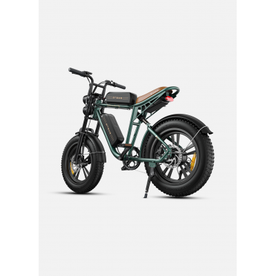 ENGWE M20 Batteries Doubles VTT Électrique Fat Bike Tout Suspendu - Style Moto