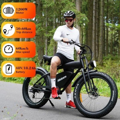 Hidoes B3 1200W Motor 48V 18.2Ah Battery Speed 60 km/h Long Range 96km Fat Tire Cruiser Electric Bike