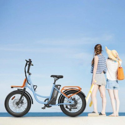 Hidoes C6 Commuter Electric Bike, 350W Electric Bike