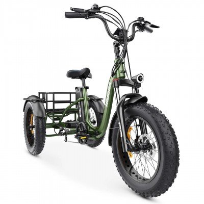 Hidoes ET1 750W 48V 20Ah 25-40 KM/H Off road all terrain fat tire electric trike Electric tricycle