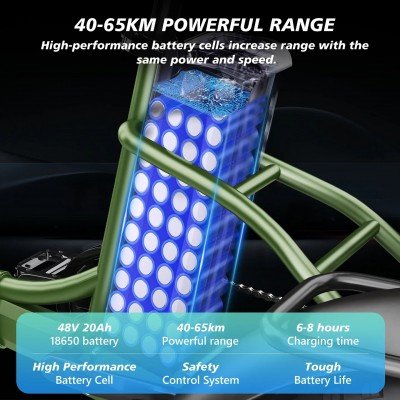 Tricycle électrique tout-terrain Hidoes ET1 750W 48V 20Ah 25-40 KM/H Tricycle électrique à gros pneus tout-terrain