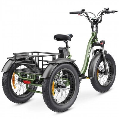 Tricycle électrique tout-terrain Hidoes ET1 750W 48V 20Ah 25-40 KM/H Tricycle électrique à gros pneus tout-terrain