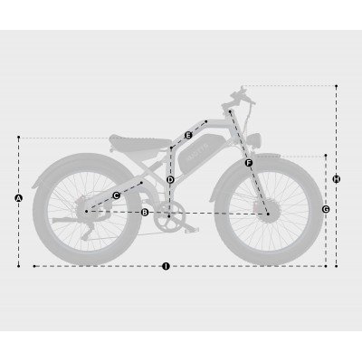 DUOTTS N26 Vélo électrique