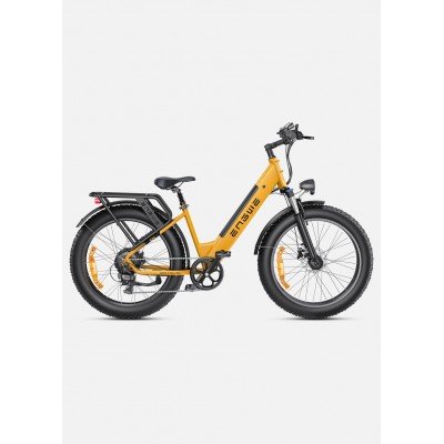 ENGWE E26 Vélo Électrique Tout Terrain 250W Autonomie 140 km| Electric Bike Ocean